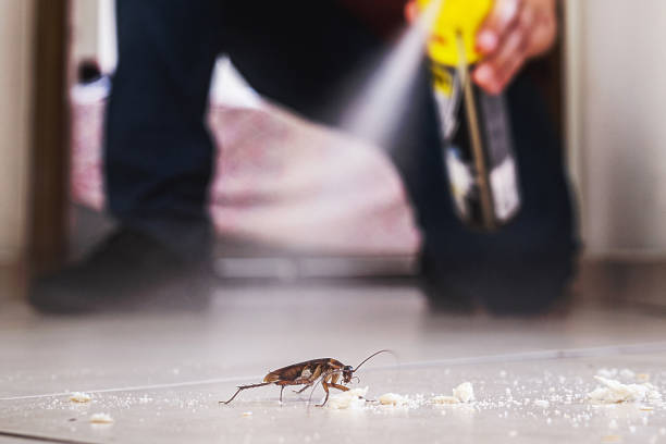 Best Pest Control Cost  in Erwin, NC